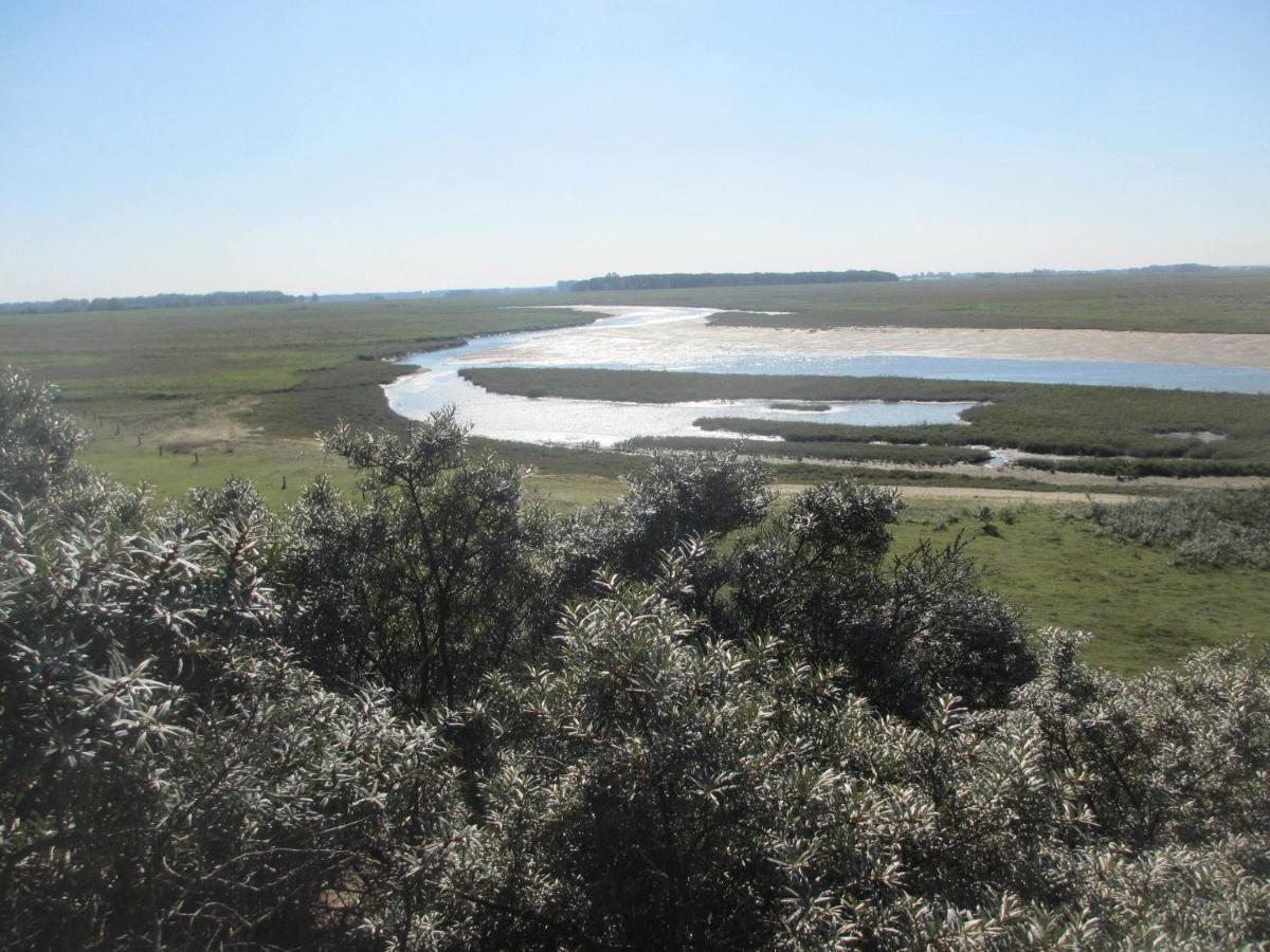 Beautiful And Spacious Villa With A Panoramic View Near The Beach Of Cadzand Esterno foto